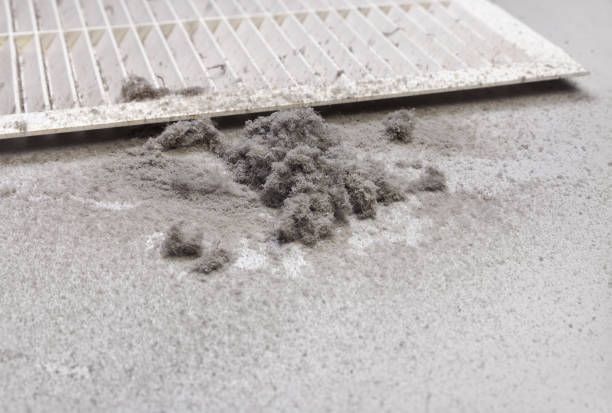 Best Air Vent Cleaning Services  in Crystal Lakes, OH